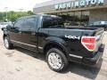 Black - F150 Platinum SuperCrew 4x4 Photo No. 2