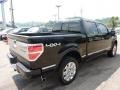 Black - F150 Platinum SuperCrew 4x4 Photo No. 4