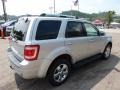 Silver Metallic - Escape Limited 4WD Photo No. 4