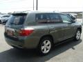 2009 Cypress Green Pearl Toyota Highlander Limited 4WD  photo #4