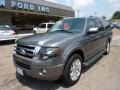 2011 Sterling Grey Metallic Ford Expedition EL Limited 4x4  photo #8