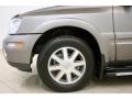 Titanium Gray Metallic - Rainier CXL AWD Photo No. 23