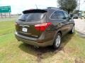 Sahara Bronze Metallic - Veracruz Limited Photo No. 3