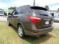 Sahara Bronze Metallic - Veracruz Limited Photo No. 5