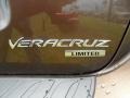 Sahara Bronze Metallic - Veracruz Limited Photo No. 18