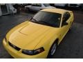 2003 Zinc Yellow Ford Mustang V6 Coupe  photo #4