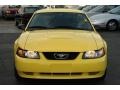 2003 Zinc Yellow Ford Mustang V6 Coupe  photo #10