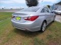 2012 Radiant Silver Hyundai Sonata SE  photo #3