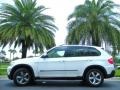 Alpine White - X5 xDrive30i Photo No. 1