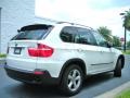 Alpine White - X5 xDrive30i Photo No. 6