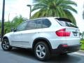 Alpine White - X5 xDrive30i Photo No. 8