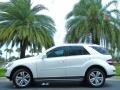 Arctic White - ML 350 Photo No. 1