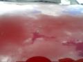 Red Brawn - Titan SE Crew Cab Photo No. 34