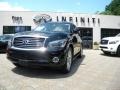 Black Obsidian - QX 56 4WD Photo No. 1