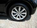 Black Obsidian - QX 56 4WD Photo No. 20