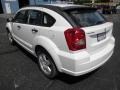 Stone White - Caliber SXT Photo No. 14