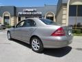 Pewter Metallic - C 280 4Matic Luxury Photo No. 5