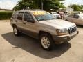 2001 Silverstone Metallic Jeep Grand Cherokee Laredo  photo #1