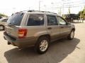 2001 Silverstone Metallic Jeep Grand Cherokee Laredo  photo #6