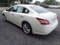 Winter Frost White - Maxima 3.5 SV Photo No. 3