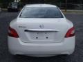 Winter Frost White - Maxima 3.5 SV Photo No. 4