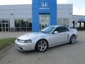 Silver Metallic 2003 Ford Mustang Cobra Coupe Exterior