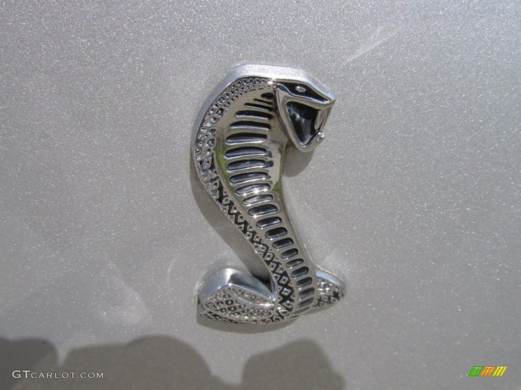 2003 Mustang Cobra Coupe - Silver Metallic / Dark Charcoal/Medium Graphite photo #16