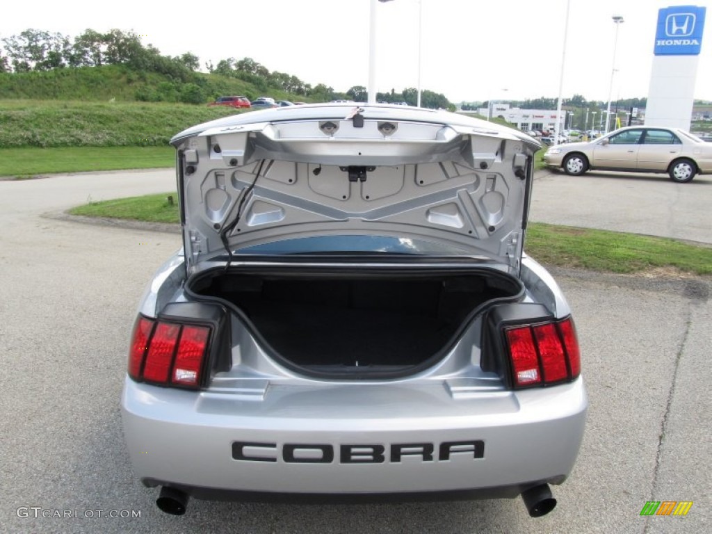 2003 Mustang Cobra Coupe - Silver Metallic / Dark Charcoal/Medium Graphite photo #19