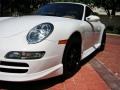 2006 Carrara White Porsche 911 Carrera Coupe  photo #10