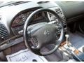 Gray Lustre - Maxima GLE Photo No. 6