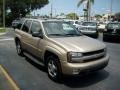 Sandstone Metallic - TrailBlazer LT Photo No. 8