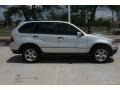 Titanium Silver Metallic - X5 3.0i Photo No. 2