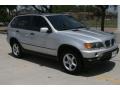 Titanium Silver Metallic - X5 3.0i Photo No. 8