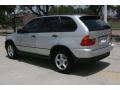 Titanium Silver Metallic - X5 3.0i Photo No. 12