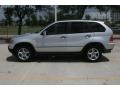 Titanium Silver Metallic - X5 3.0i Photo No. 13
