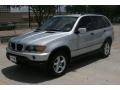 Titanium Silver Metallic - X5 3.0i Photo No. 14