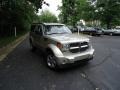 Bright Silver Metallic - Nitro SXT 4x4 Photo No. 1
