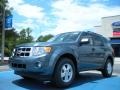 Steel Blue Metallic 2012 Ford Escape XLT Exterior