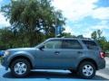 Steel Blue Metallic 2012 Ford Escape XLT Exterior