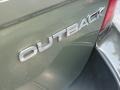 Willow Green Opalescent - Outback 2.5i Wagon Photo No. 43