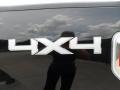 2011 Tuxedo Black Metallic Ford F150 Texas Edition SuperCrew 4x4  photo #19