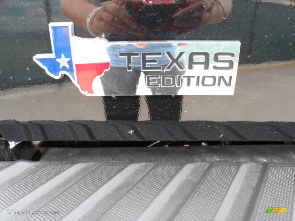 2011 F150 Texas Edition SuperCrew 4x4 - Tuxedo Black Metallic / Steel Gray photo #20