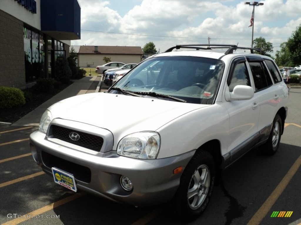 2004 Santa Fe GLS - Nordic White / Gray photo #1