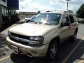 Sandstone Metallic - TrailBlazer LS 4x4 Photo No. 1
