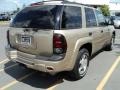 Sandstone Metallic - TrailBlazer LS 4x4 Photo No. 2