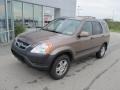 2002 Mojave Mist Metallic Honda CR-V EX 4WD  photo #2