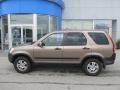 2002 Mojave Mist Metallic Honda CR-V EX 4WD  photo #3