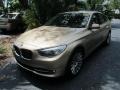 2010 Platinum Bronze Metallic BMW 5 Series 535i Gran Turismo  photo #4