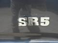 Galactic Gray Mica - 4Runner SR5 Photo No. 20