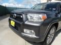 2010 Magnetic Gray Metallic Toyota 4Runner Limited  photo #14